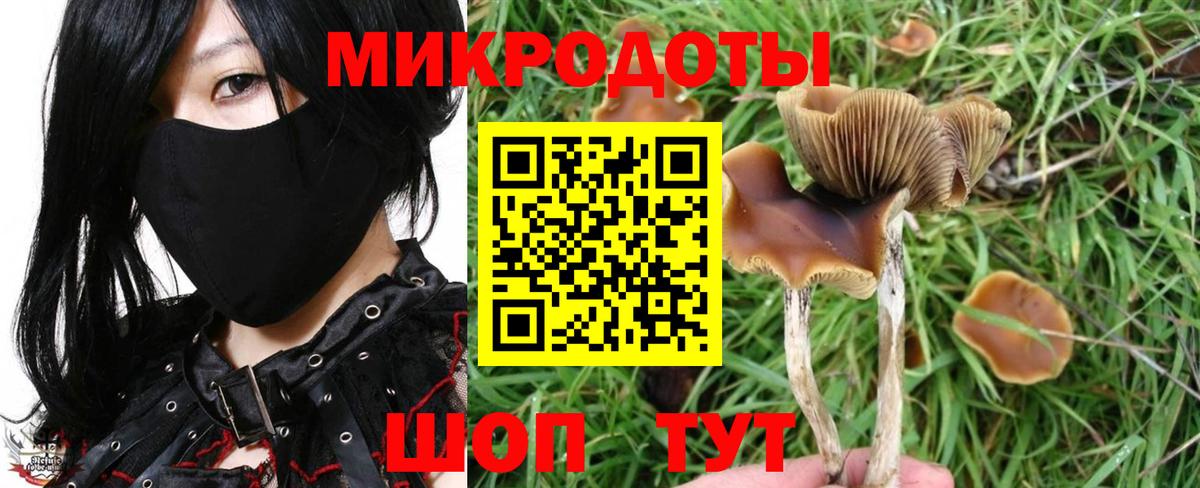 где купить наркоту  Псилоцибиновые грибы мухоморы  Вход с VPN  Алексин  Псилоцибиновые грибы Cubensis 